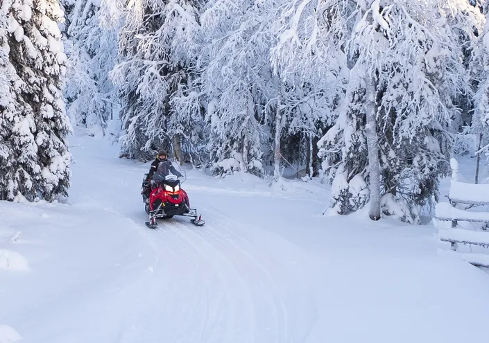 Snöskoter på en led mellan snötyngda granar.